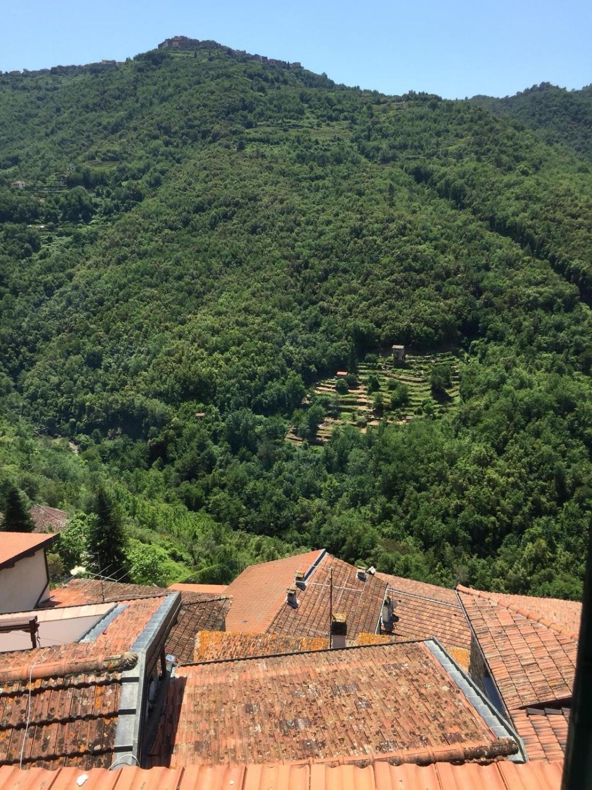 House In The Medieval Village Apricale Ngoại thất bức ảnh